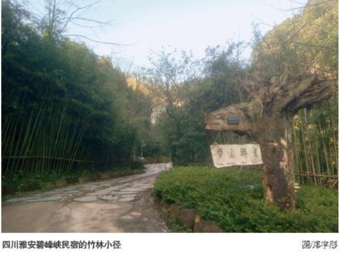 k1ÌåÓý¡¤(Öйú)¹Ù·½ÍøÕ¾-Ê®ÄêÆ·ÅÆ